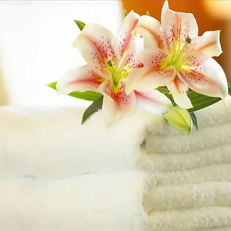 Danieli מלון ביביונה